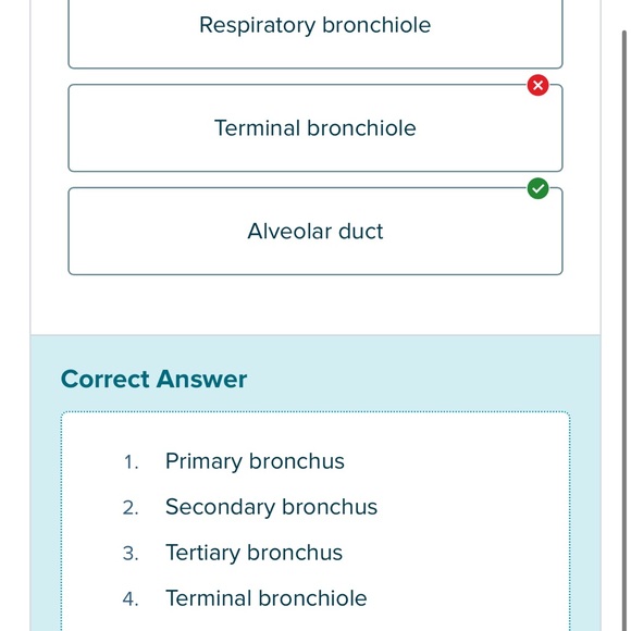 Patagonia pullover size small - Picture 4 of 4